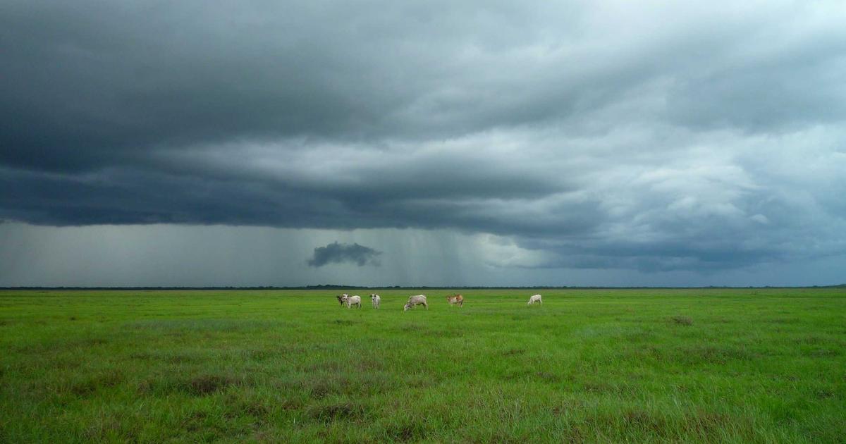 越南电子签证可以加急吗？最坦诚的回答